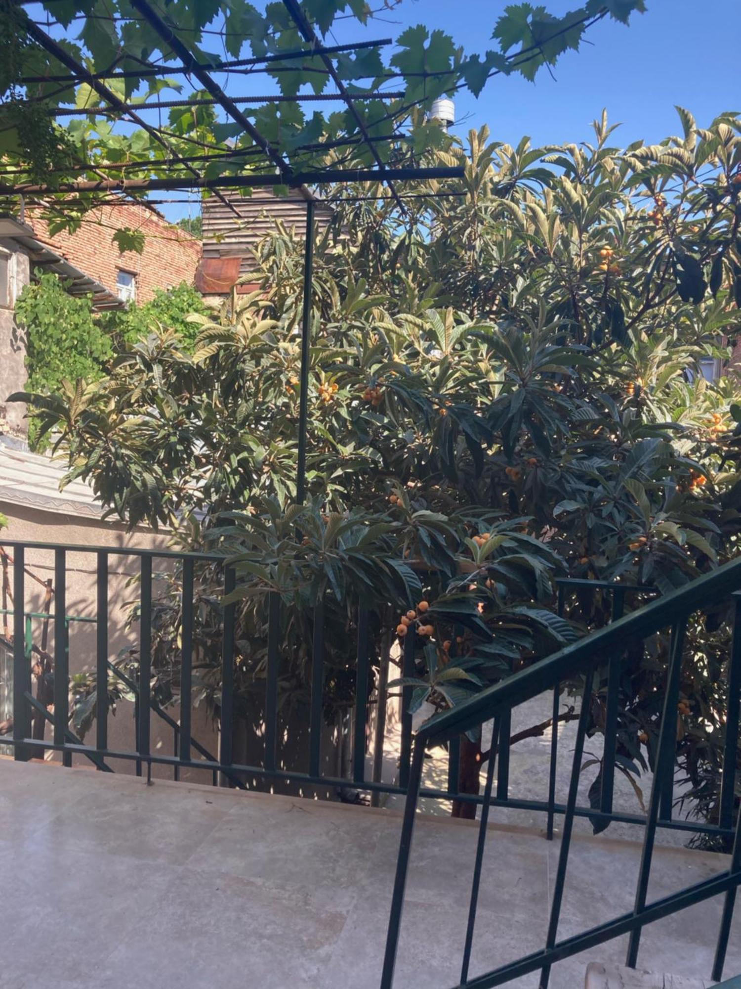 Historic Apartments "1868 Tbilisi" Best Location Exterior foto